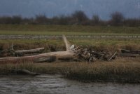 01.JPG