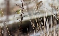 DSC_0759.jpg