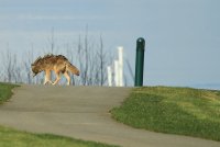 IMG_0727.JPG