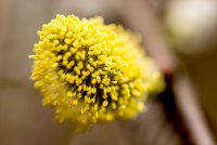IMG_5848.jpg