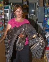 The eagle goes for X-rays.jpg The eagle goes for X-rays.jpg