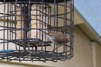 07.JPG