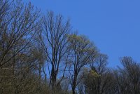 05.JPG
