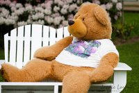 Kicking Back.jpg Kicking Back.jpg