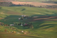Palouse-3.jpg