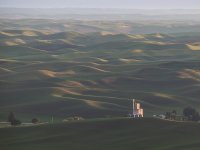 Palouse-4.jpg