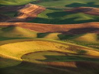 Palouse-1.jpg