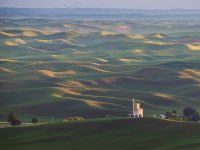 Palouse-4.jpg