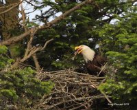 6-5-2013 dinner time_9274.JPG