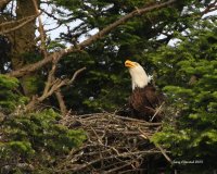 6-5-2013 dinner time_9287.JPG