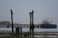 06.JPG