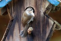 07.JPG