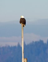 _DSC1760.jpg