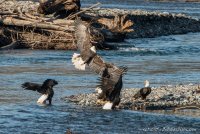 DSC_5198.JPG
