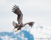 DSC_5532.JPG
