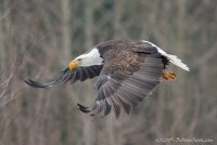 DSC_5579.JPG