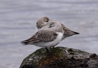 DSC_6324.jpg