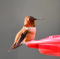DSC_7244.JPG