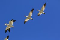02.JPG 02.JPG