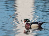 DSC_7255.jpg