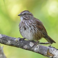 DSC_7757.jpg