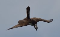DSC_1078.jpg