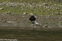 7DM2002334wcr.jpg 7DM2002334wcr.jpg