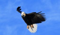 IMG_0001.jpg