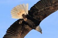 IMG_0003.jpg