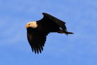 IMG_0004.jpg