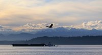 IMG_0005.jpg