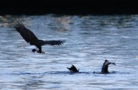 IMG_0003.jpg