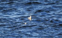 IMG_0003.jpg