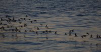 IMG_0002.jpg
