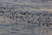 IMG_0003.jpg