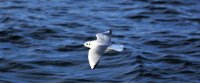 IMG_0001.jpg