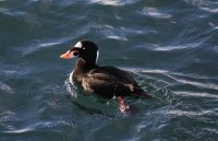 IMG_0002.jpg