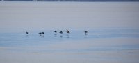 IMG_0001.jpg