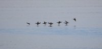 IMG_0002.jpg