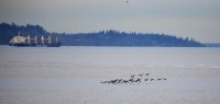 IMG_0005.jpg