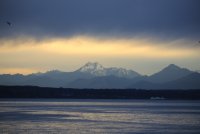 IMG_0001.jpg
