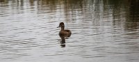 IMG_0004.jpg