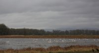 IMG_0007.jpg