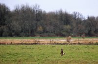 IMG_0015.jpg