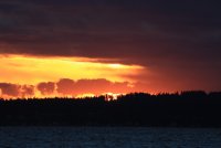 IMG_0002.jpg