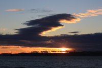 IMG_0004.jpg