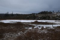 IMG_0002.jpg