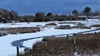 IMG_0003.jpg