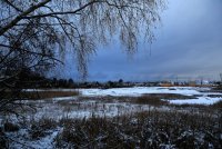 IMG_0004.jpg