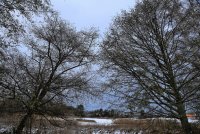 IMG_0005.jpg